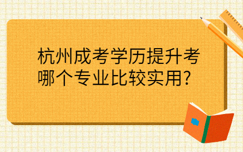 杭州成考实用专业