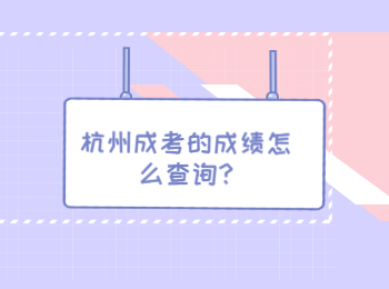 杭州成考的成绩怎么查询?