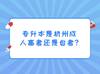 专升本是杭州成人高考还是自考?