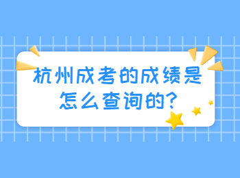 杭州成考的成绩是怎么查询的?