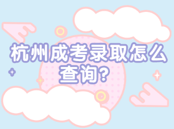 杭州成考录取怎么查询？