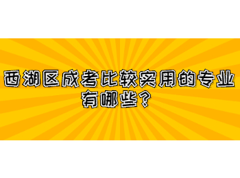 西湖区成考比较实用的专业有哪些？