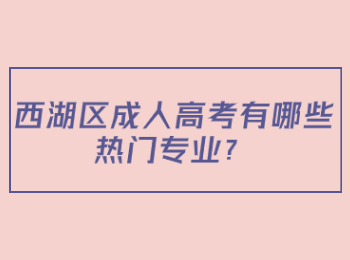 西湖区成人高考有哪些热门专业？